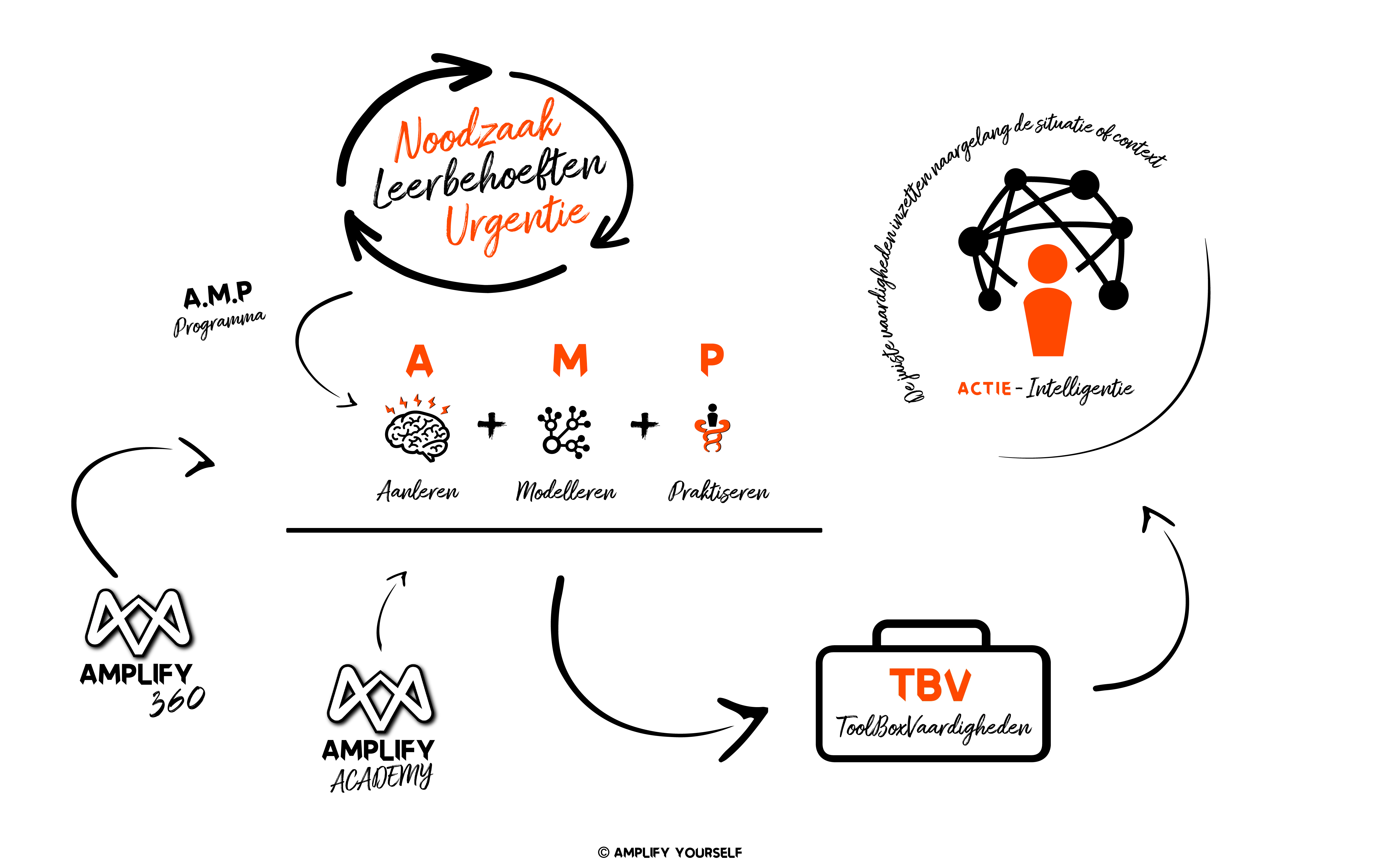 Amplify Yourself werkwijze: Van Noodzaak en Leerbehoefte via het A.M.P. programma naar Actie-Intelligentie met Toolboxvaardigheden
